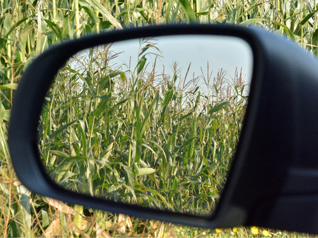 As they say, "Hindsight is 20/20." The predictions and recommendations made by grain market commentators don&#039;t always hold up to retrospective examination. (DTN photo by Elaine Kub)